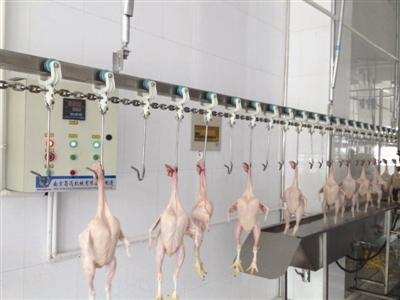全程冷链 杭州家禽冷链销售供应体系建设初现成效 - 行业关注 - 鸡病专业网